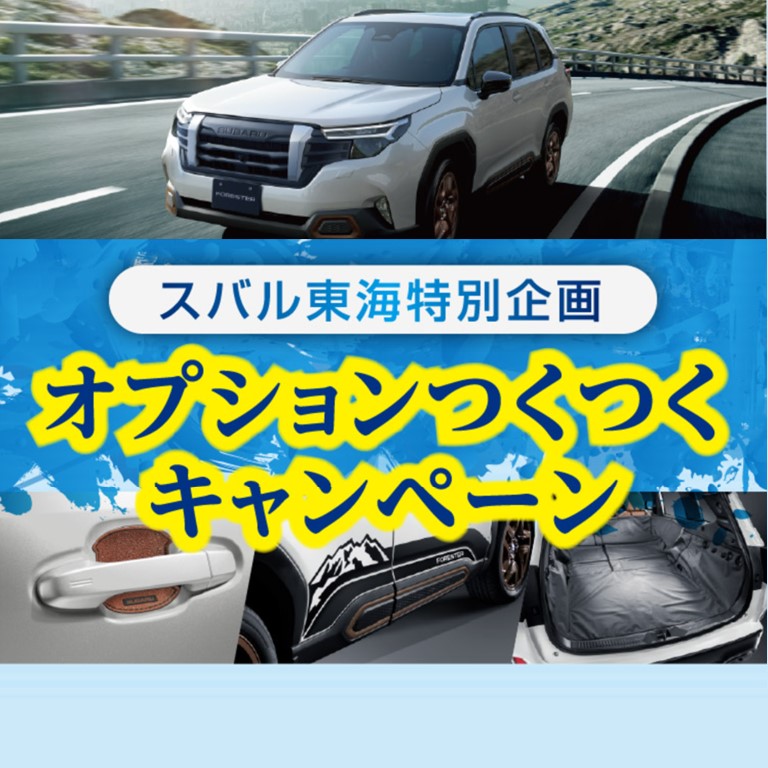 オプションつくつくキャンペーン