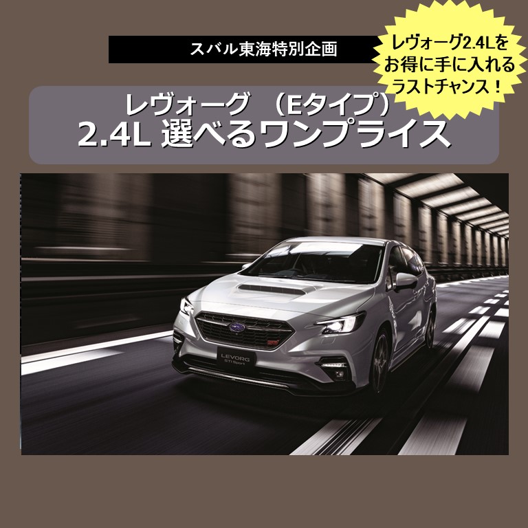 レヴォーグ（Eタイプ）2.4L選べるワンプライス