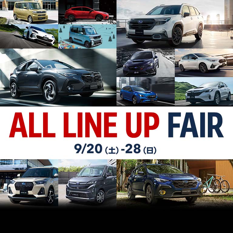 ALL LINE UP FAIR