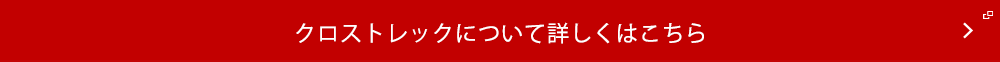 レイバックについて詳しくはこちら