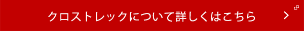 レイバックについて詳しくはこちら