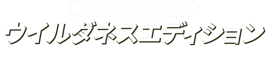 東海地区スバルグループ特別企画！ウイルダネスエディションフォレスターのTouringグレード・X-BREAKグレードに「北米ウイルダネス仕様ホイール」を特別装着した東海地区スバルグループ企画　特別仕様車”ウイルダネスエディション”が登場！期間中、ご成約時にお好きなSTYLE3種類からお選びいただけます。