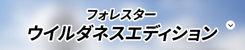 フォレスター ウイルダネスエディション