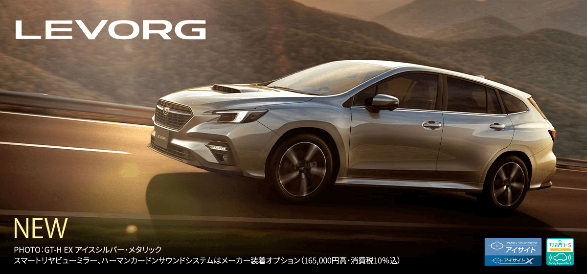 LEVORG