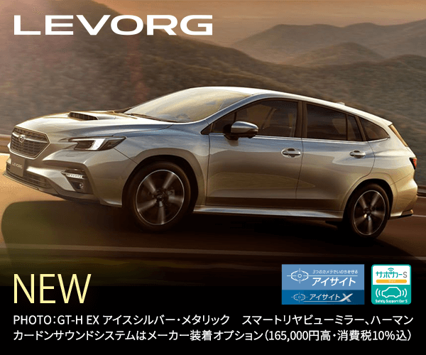 LEVORG
