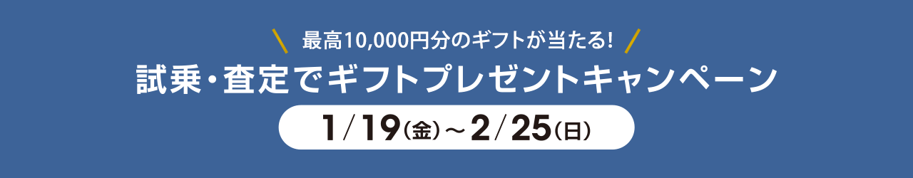1/19(金)～2/25(日)