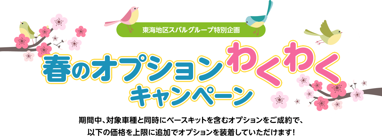 春のオプションわくわくキャンペーン