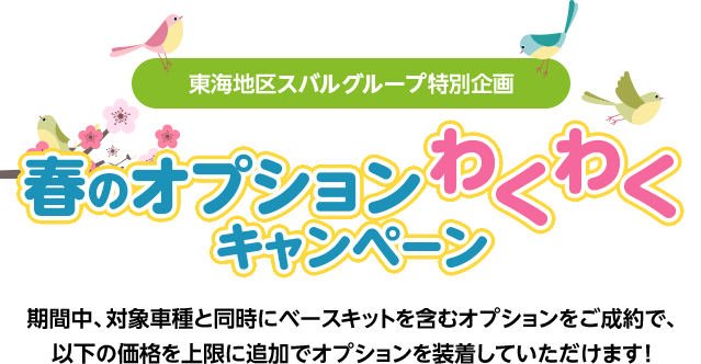 春のオプションわくわくキャンペーン