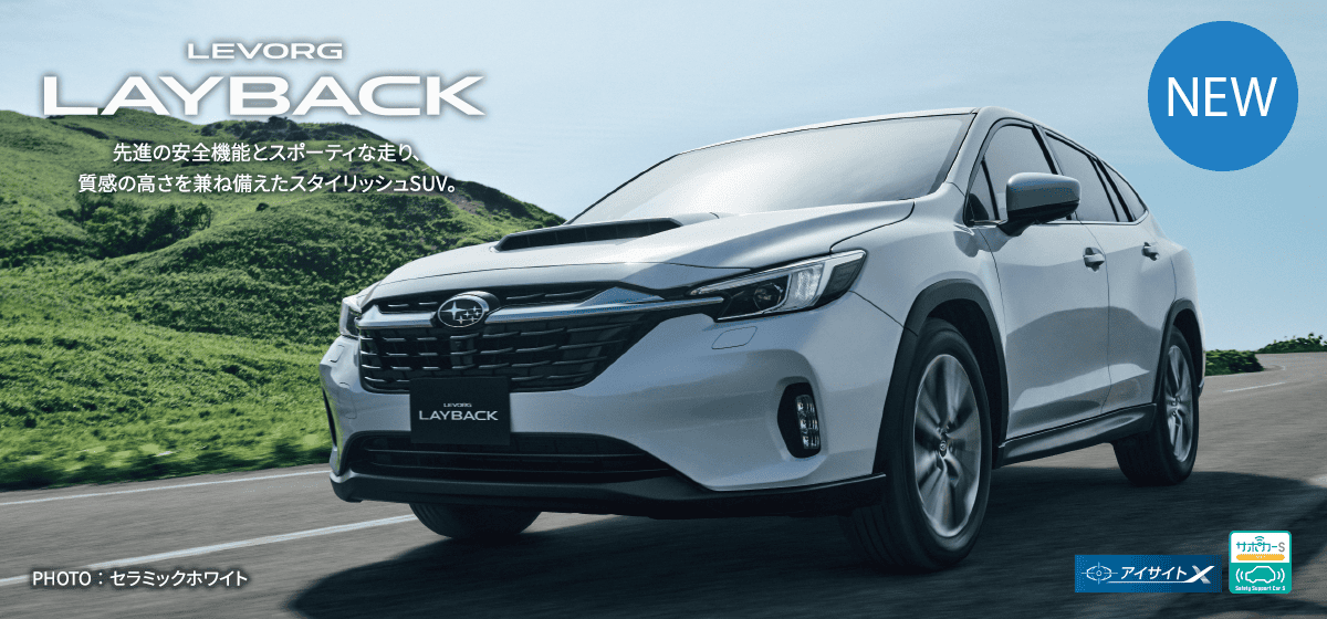LEVORG LAYBACK